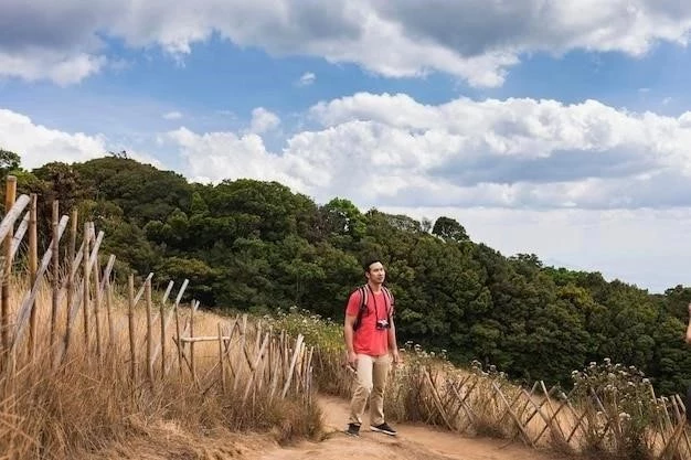 Le Camino de Santiago: Un Voyage Millénaire