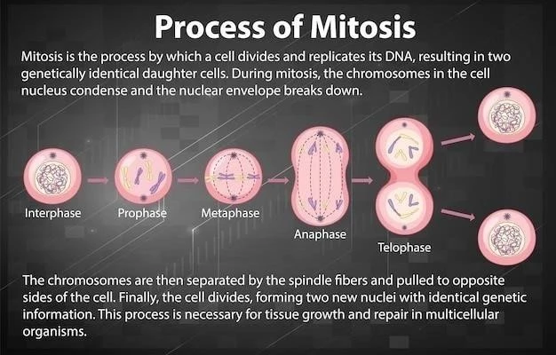 Les 4 principaux types de micromachismes