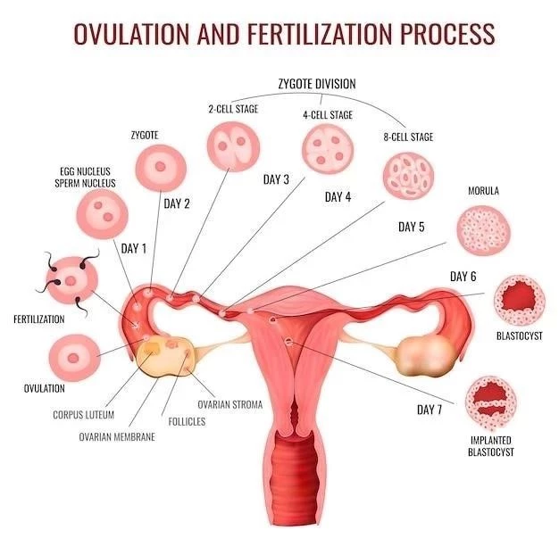 La Reproduction ⁚ Un Processus Fondamental de la Vie