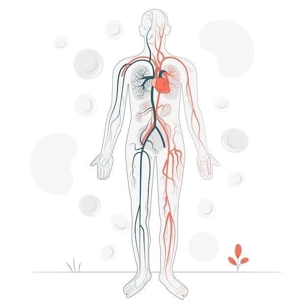 Vascularisation du Système Nerveux Central