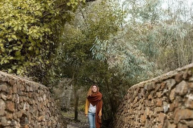 Castilla y León: Un voyage à travers les coutumes et traditions