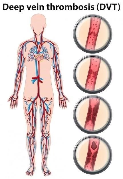 Ganglions lymphatiques enflammés ⁚ causes et symptômes d’alerte