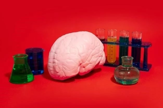 Plasticité cérébrale (ou neuroplasticité) : qu’est-ce que c’est ?