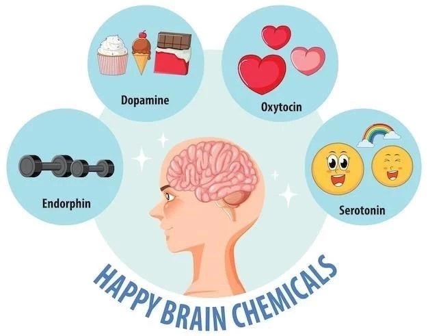 Le système limbique: la partie émotionnelle du cerveau