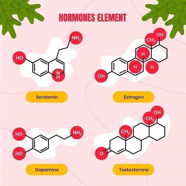 Glutamine (aminoacide) ⁚ caractéristiques et fonctions