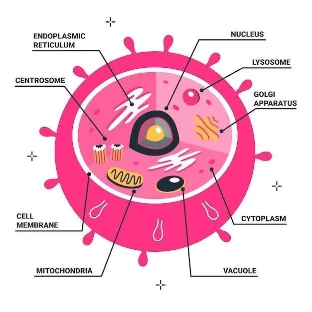 Le réticulum endoplasmique lisse ⁚ définition‚ caractéristiques et fonctions