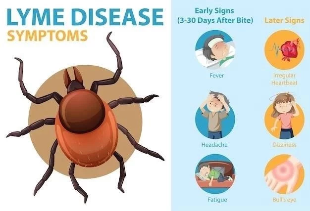 Katsaridafobia (Peur des cafards) ⁚ Symptômes et causes