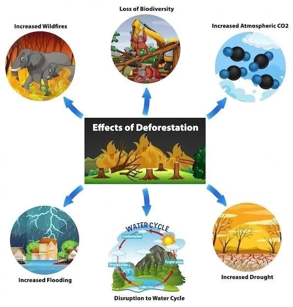 Classification des ressources naturelles ⁚ les 8 catégories principales