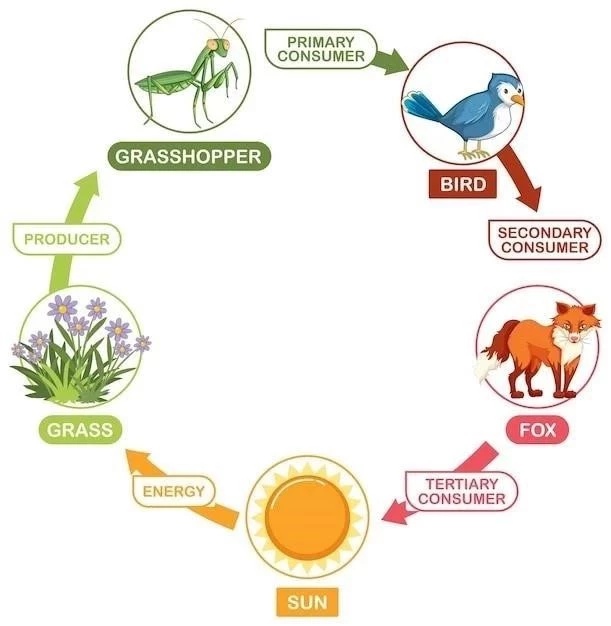 Les 10 branches de la Biologie⁚ leurs objectifs et caractéristiques