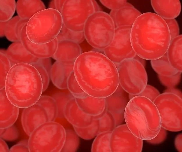 Érythrocytes (globules rouges) : caractéristiques et fonctionnement