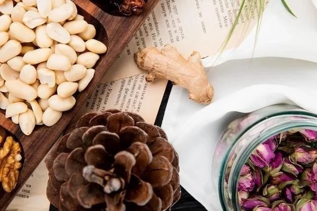 Ashwagandha et Rhodiola pour la gestion du stress : fonctionnent-elles ?