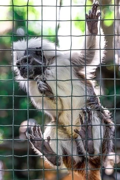 Zoochose⁚ Qu’est-ce que c’est et comment apparaît-il chez les animaux en captivité ?