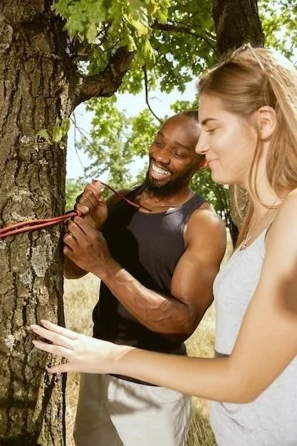 L’argumentation : Nature, Rôle et Éléments Clés