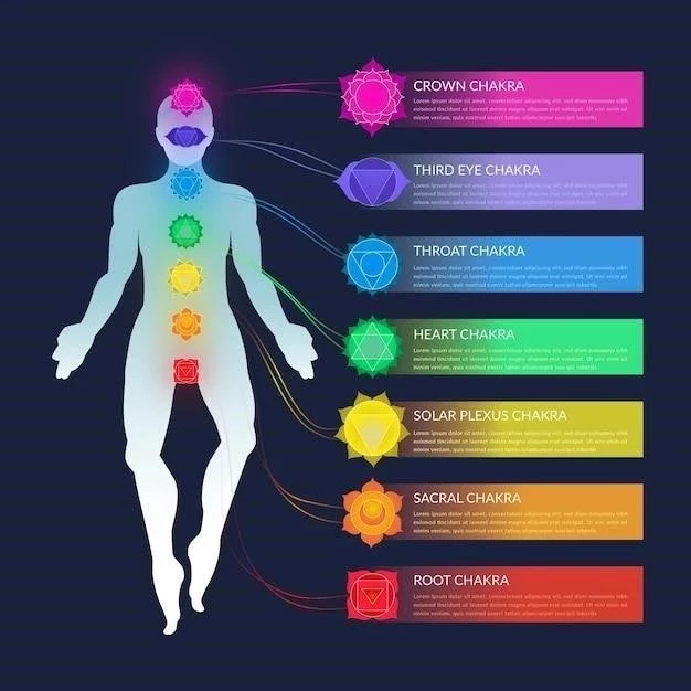 Les 5 branches de l’anatomie (et leurs caractéristiques)