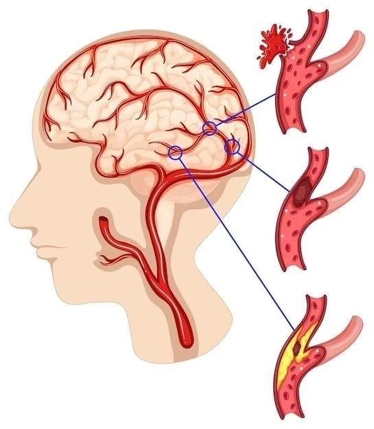 Ganglions nerveux ⁚ Types et fonctions de cette partie du système nerveux