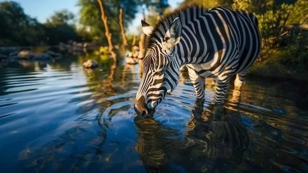 Le poisson zèbre : un modèle animal prometteur pour l’étude des troubles mentaux