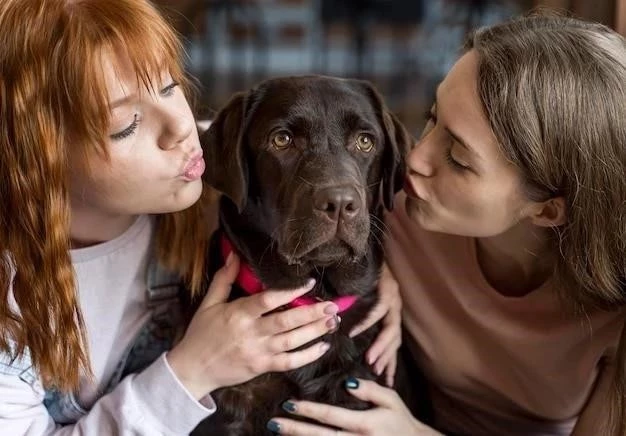 Quand les animaux de compagnie nous importent plus que les humains