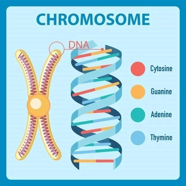 Les 15 Syndromes Chromosomiques les Plus Importants