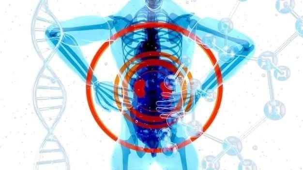 Médula espinal: anatomía, partes y funciones