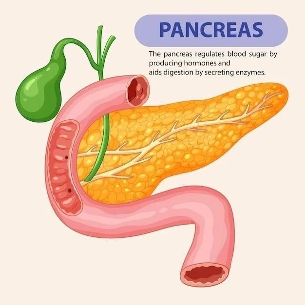 Le pancréas ⁚ un organe crucial pour la digestion et l’endocrinologie