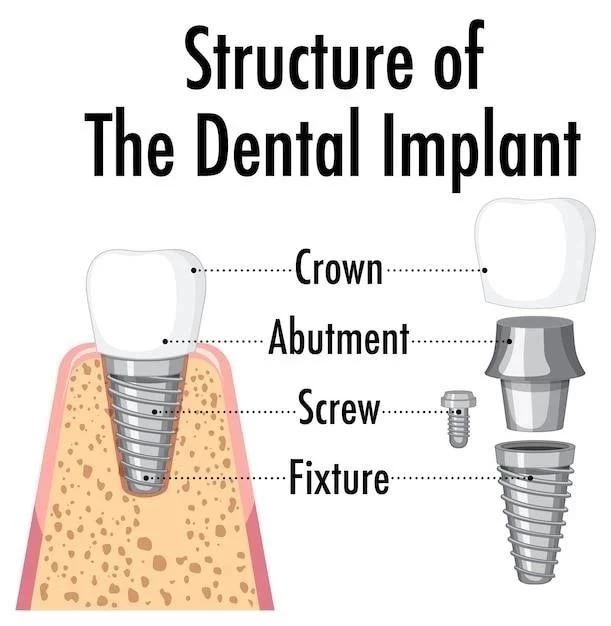 Le Giro Dentade ⁚ Structure et Fonction