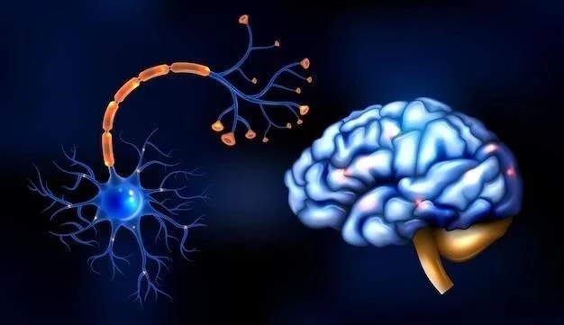 Types de neurones ⁚ caractéristiques et fonctions