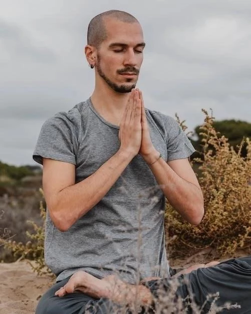 La Méditation comme remède contre le fanatisme