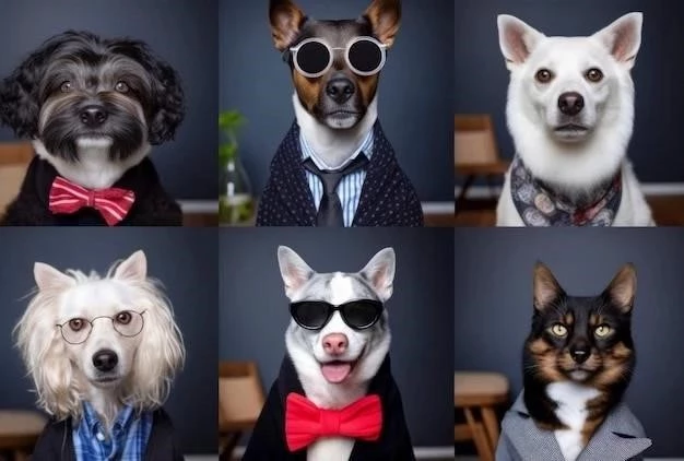 Les 20 races de chiens les plus intelligentes