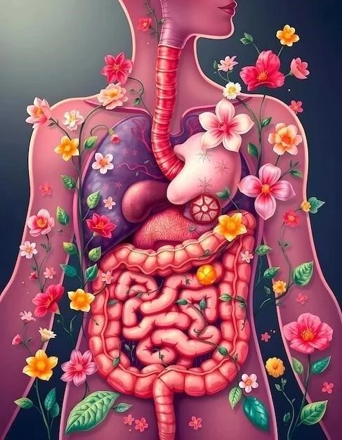 Flore intestinale ⁚ qu’est-ce que c’est, caractéristiques et fonctions