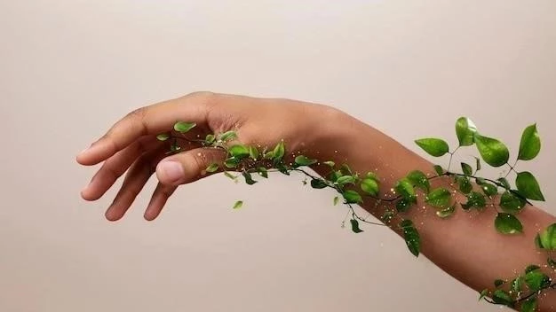 Biofilia : Un lien inné avec la nature