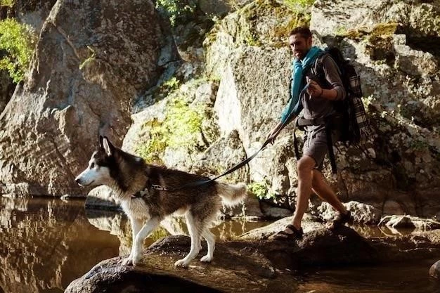 La Domestication du Chien ⁚ Un Voyage à Travers la Préhistoire