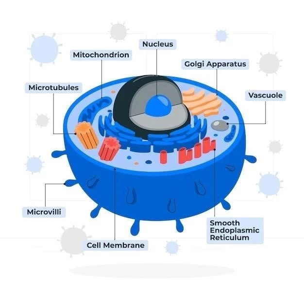 Récepteurs Métabotropiques⁚ Leurs Caractéristiques et Fonctions