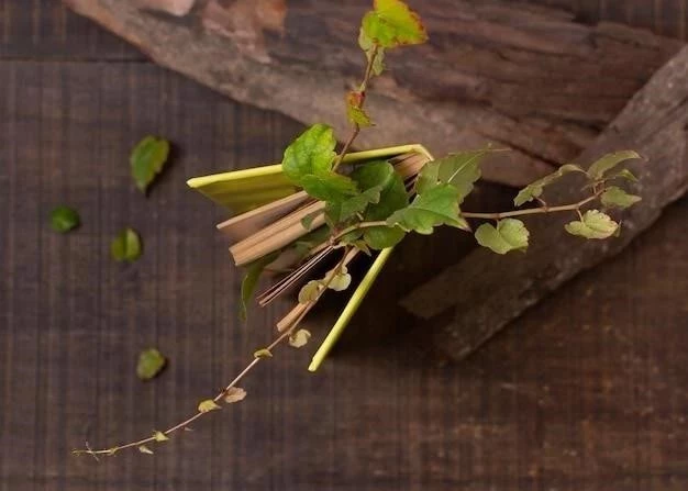 Le Moringa oleifera: Caractéristiques, bienfaits et propriétés de cette plante