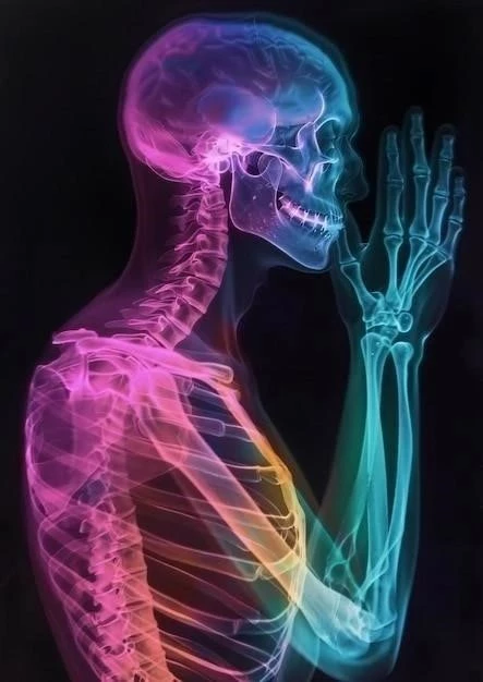 Le lobe occipital: structure et fonctions