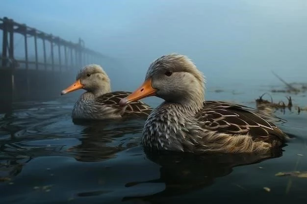 Anatidaephobie : la phobie  de broma  liée aux canards