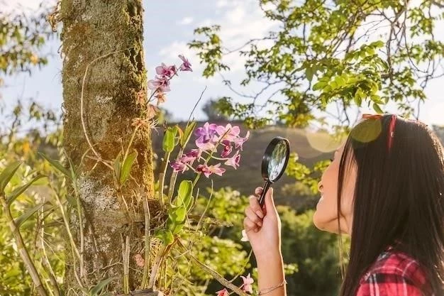 Observation naturaliste ⁚ caractéristiques de cette forme de recherche