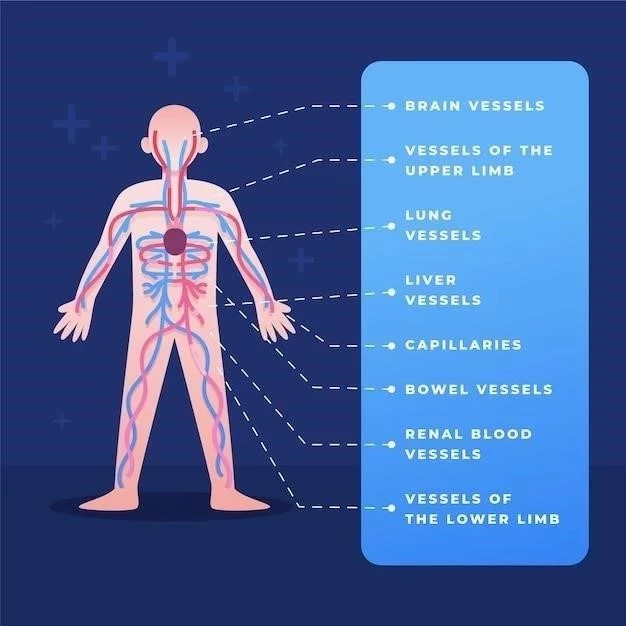 Système lymphatique ⁚ caractéristiques, parties et fonctions