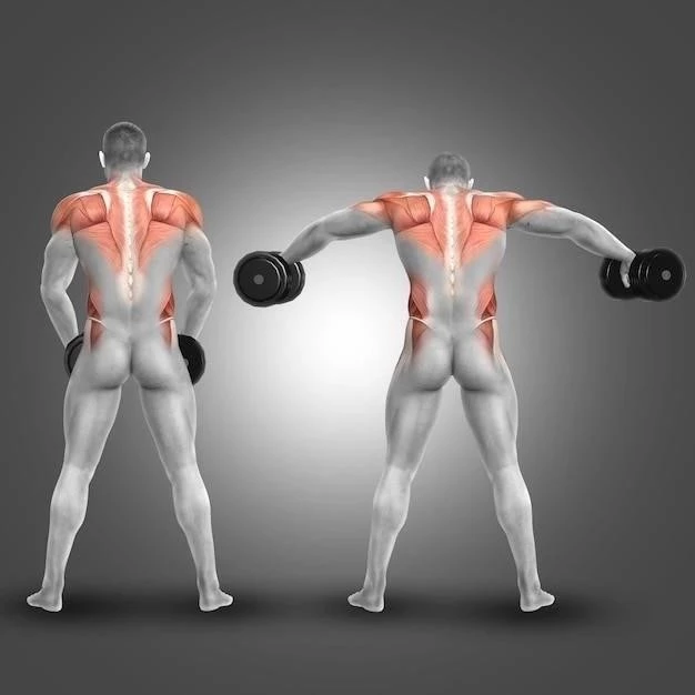 Les 4 Types de Contraction Musculaire