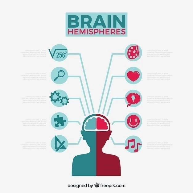 Giros cérébraux⁚ les 9 principaux plis du cerveau