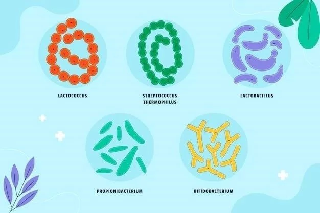 Les 6 parties du chromosome ⁚ caractéristiques et fonctions